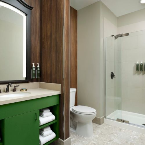 A modern bathroom with a green vanity, double sink, wall mirror, glass shower enclosure, and a toilet in a neutral-toned space, tidy and stylish.