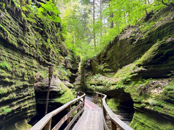 Wisconsin Dells nature walking trail