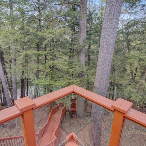 Orange-railed viewpoint from a wooden deck overlooking a dense green forest of tall trees in daylight.