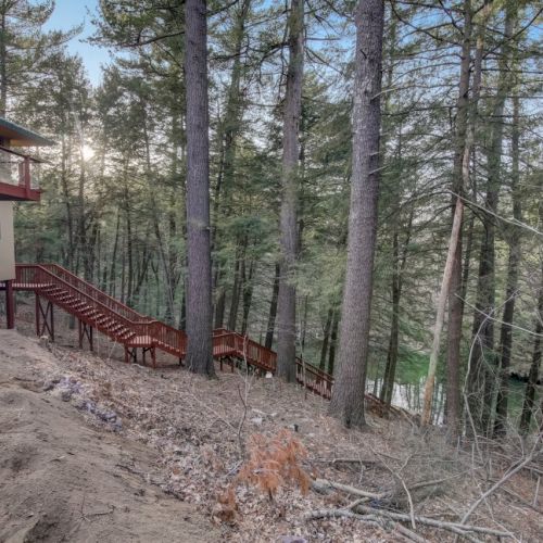 A forest hillside with a cabin and red metal stairs/railings beside tall pine trees.