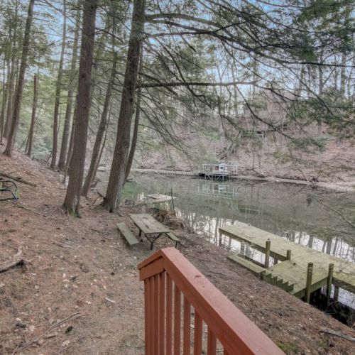 A quiet forest scene with a pond/river, wooden walkway and benches, plus a small footbridge in the distance.