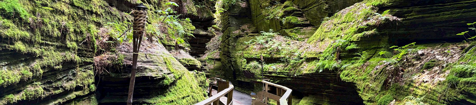 A moss-covered gorge with lush green walls, ferns, and a wooden boardwalk winding through a quiet forest canyon.