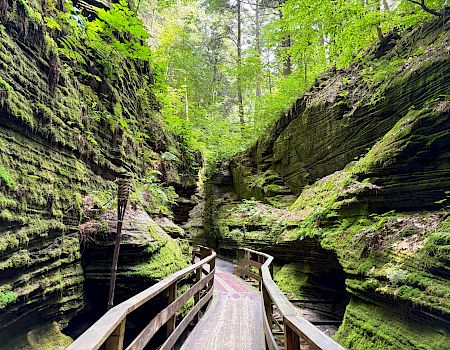 A moss-covered gorge with lush green walls, ferns, and a wooden boardwalk winding through a quiet forest canyon.